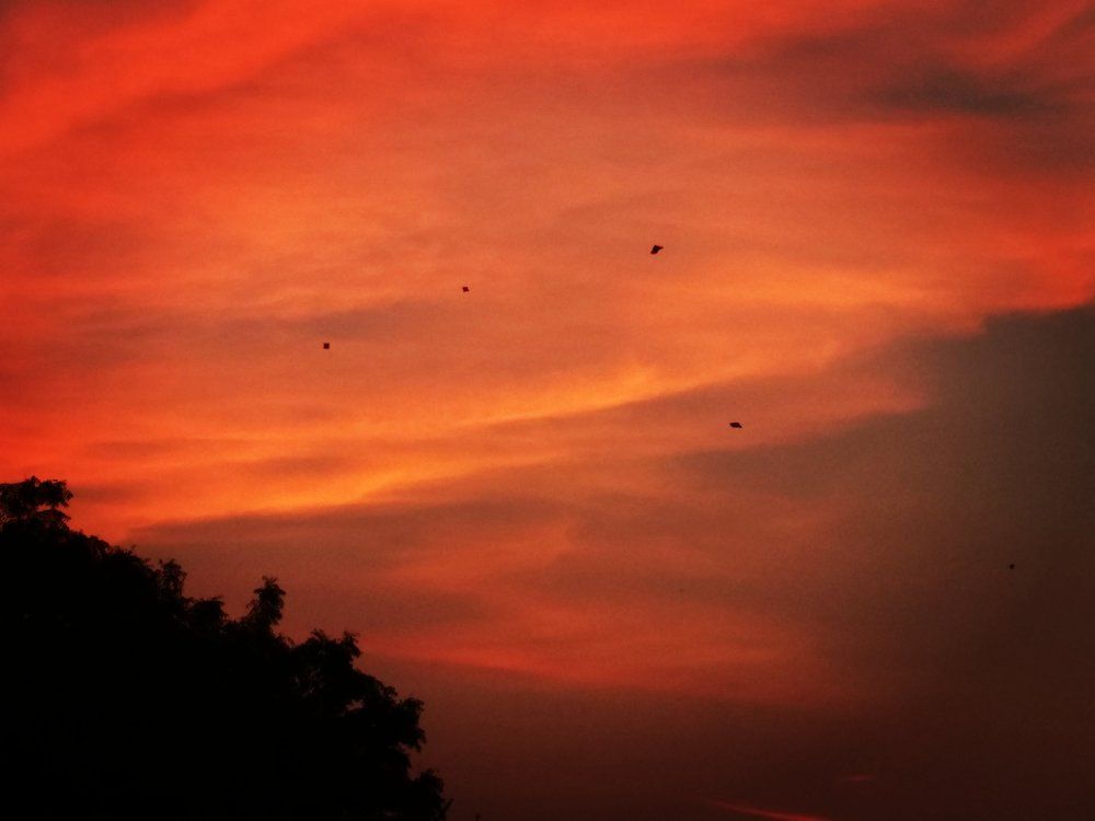 Beautiful nature