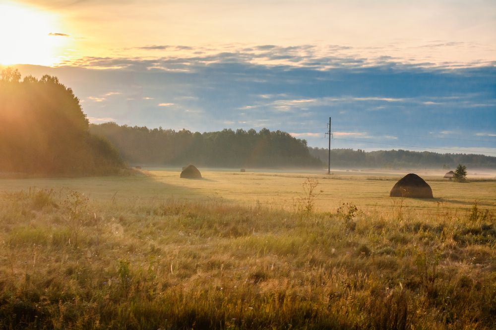 Давно забытое
