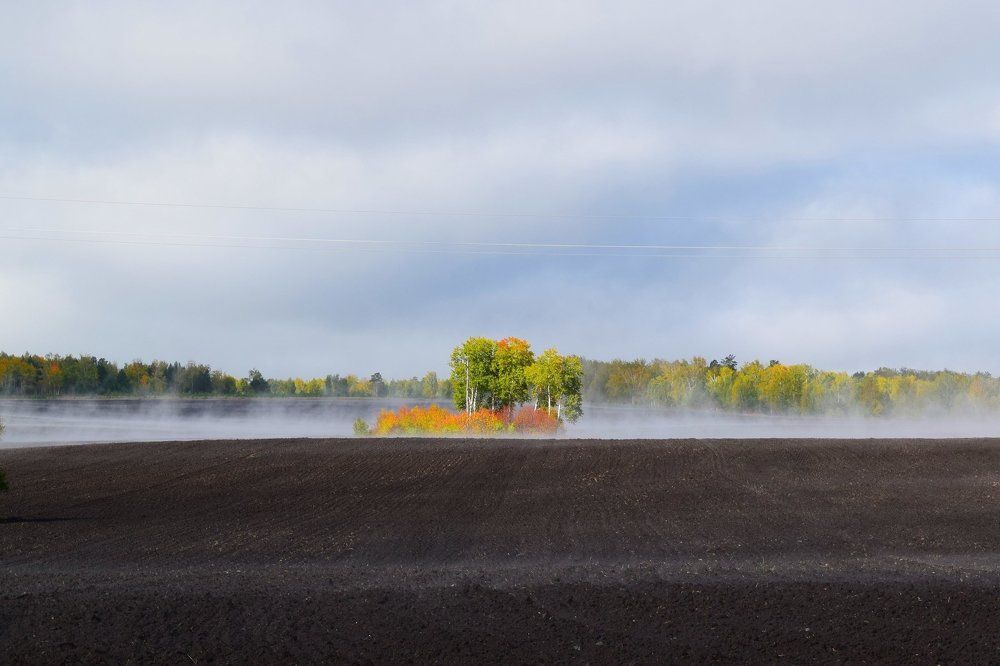 Первые краски осени