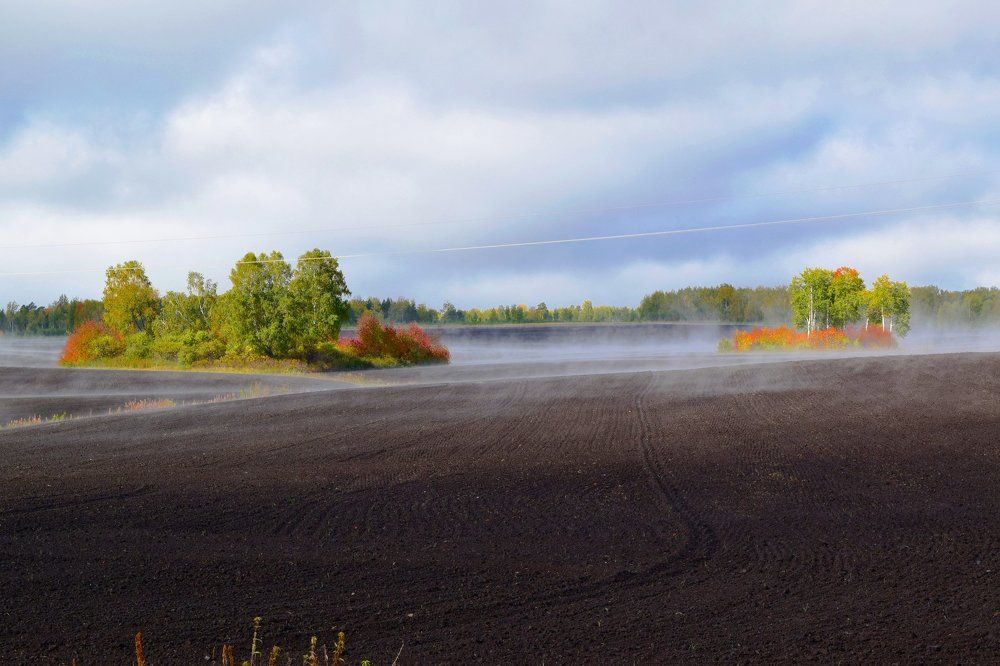 Островки с красками