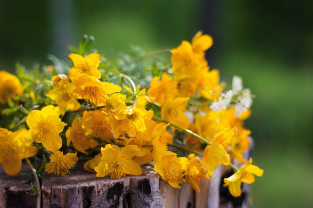 летний букет