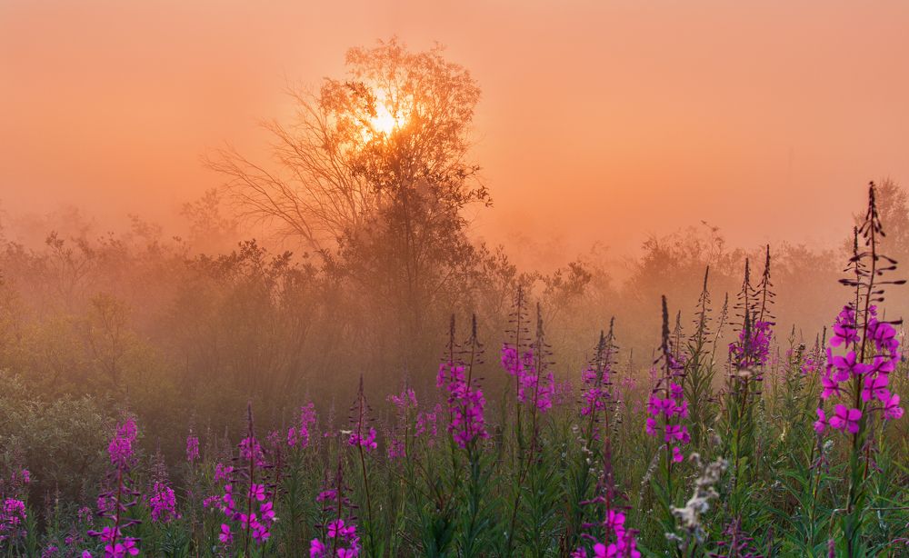 " с первыми лучами"