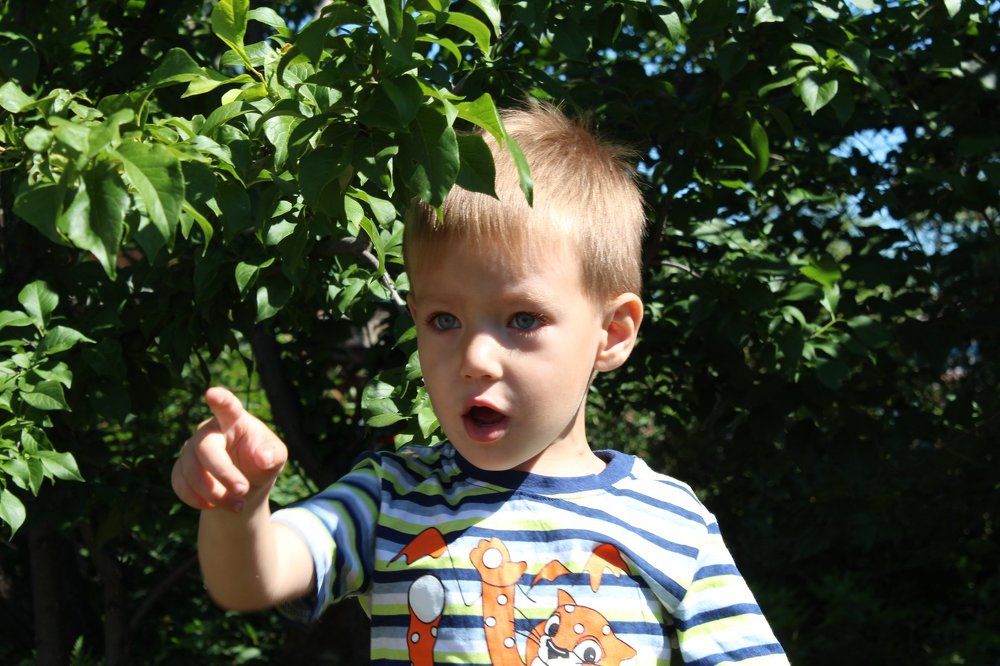Photograph by татьяна пронина