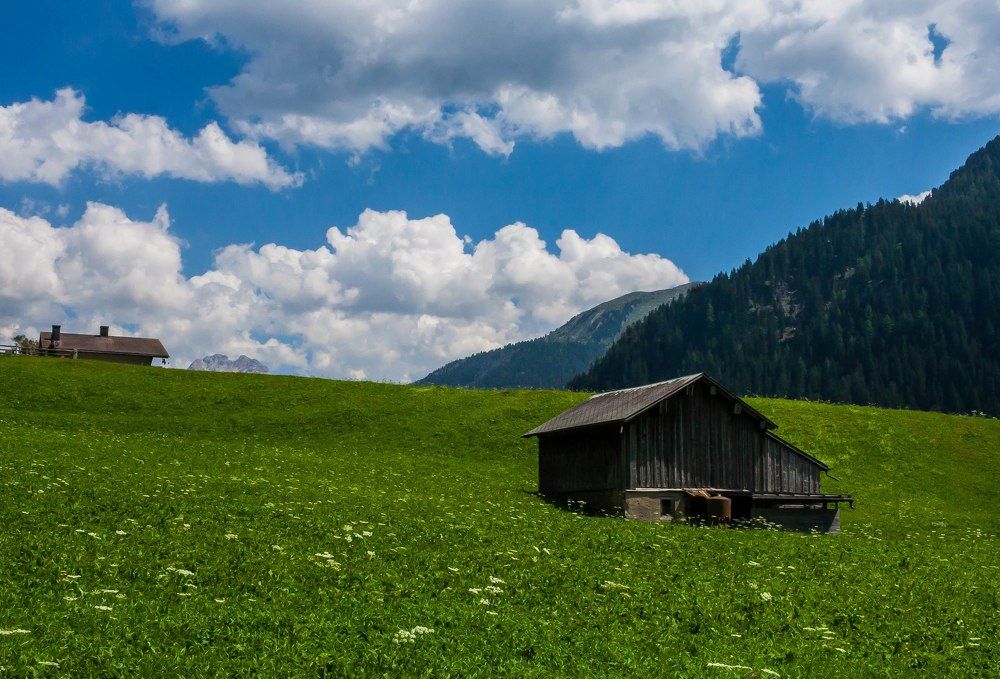 Switzerland fields