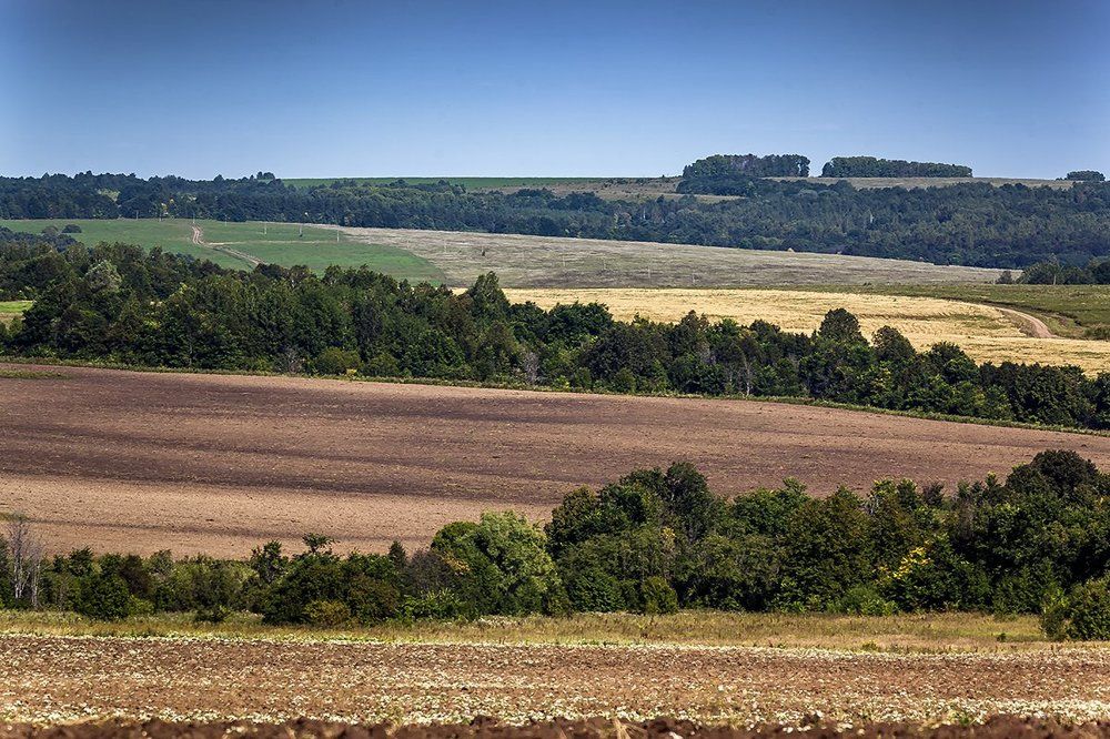Лоскутное одеяло