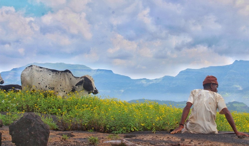 Beautiful sky with the old man & cow