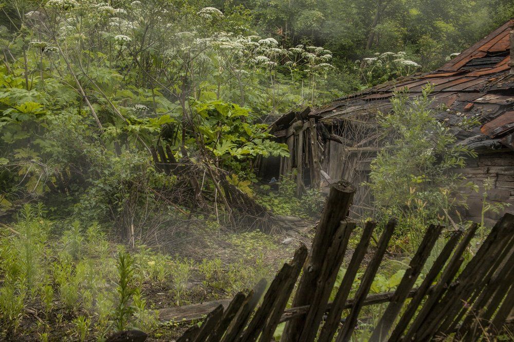 Заброшенный дом