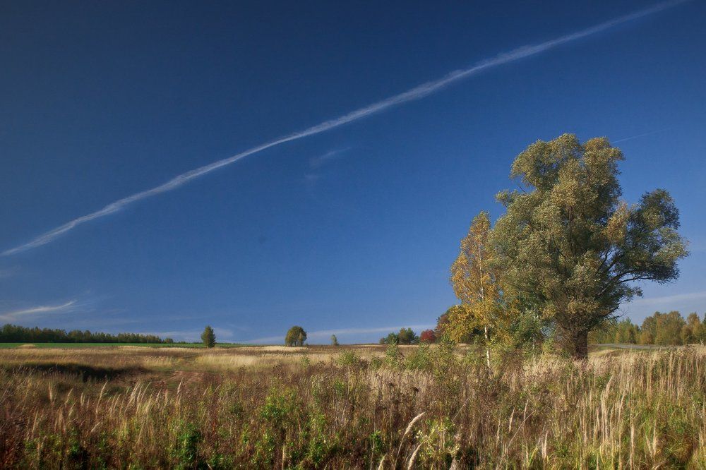 Photograph by Игорь