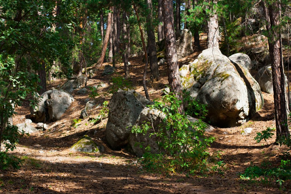 Скрипинские Кучуры