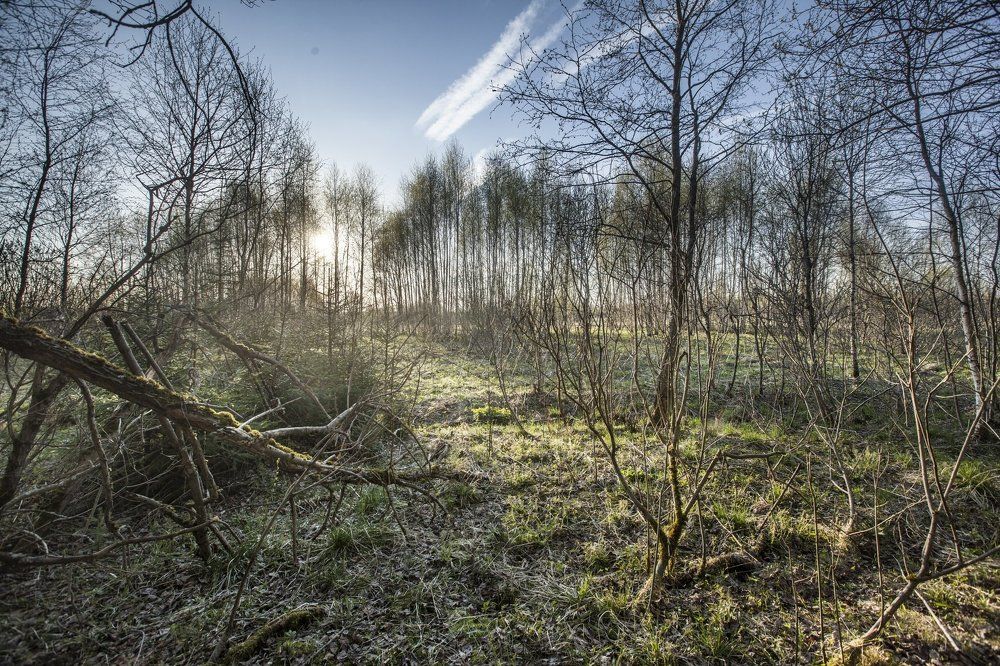 Весна Под Бородино