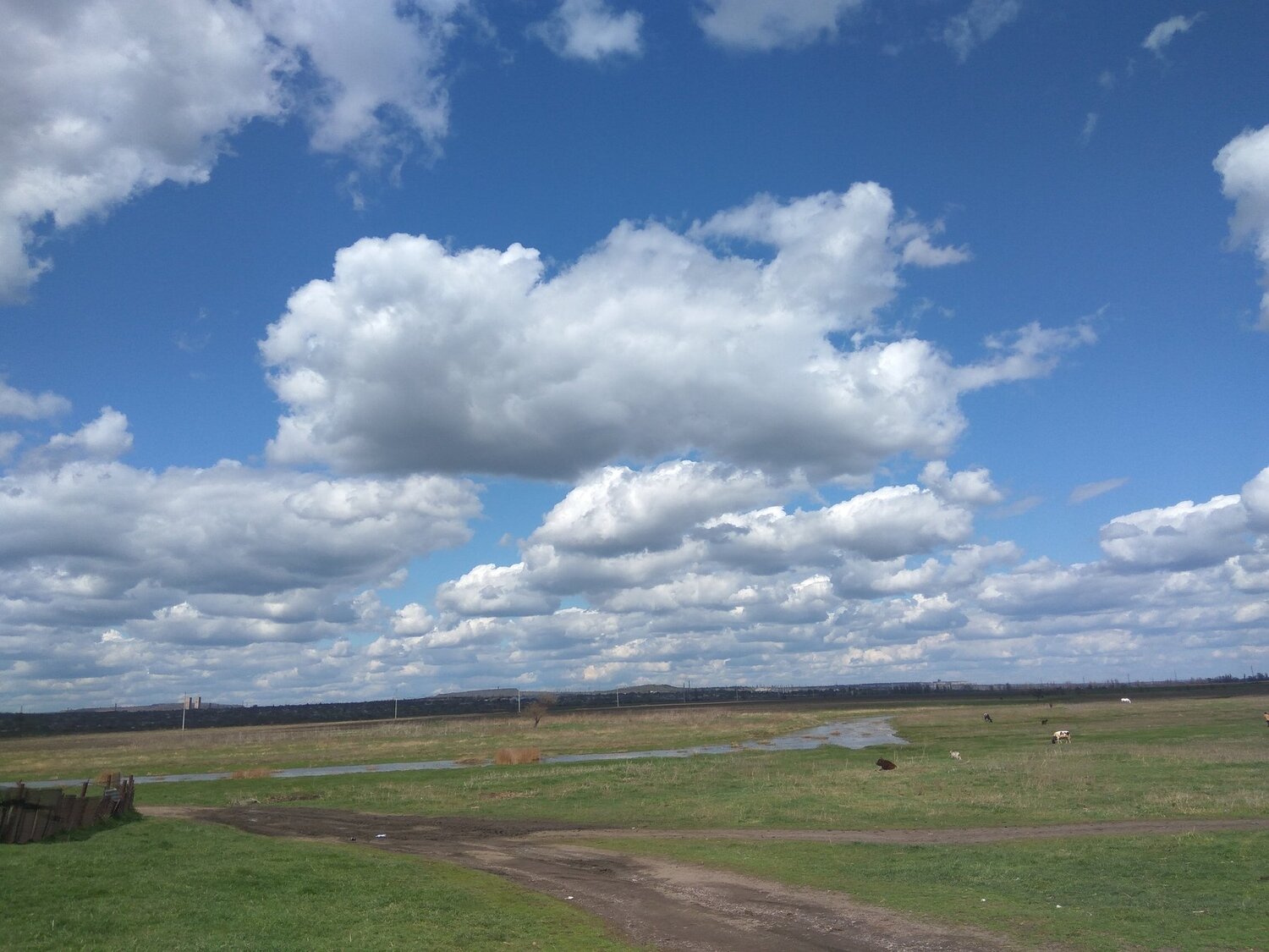 Photo #1936714