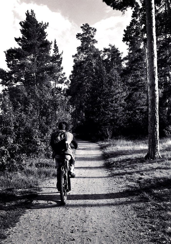 Photograph by Екатерина Вострякова