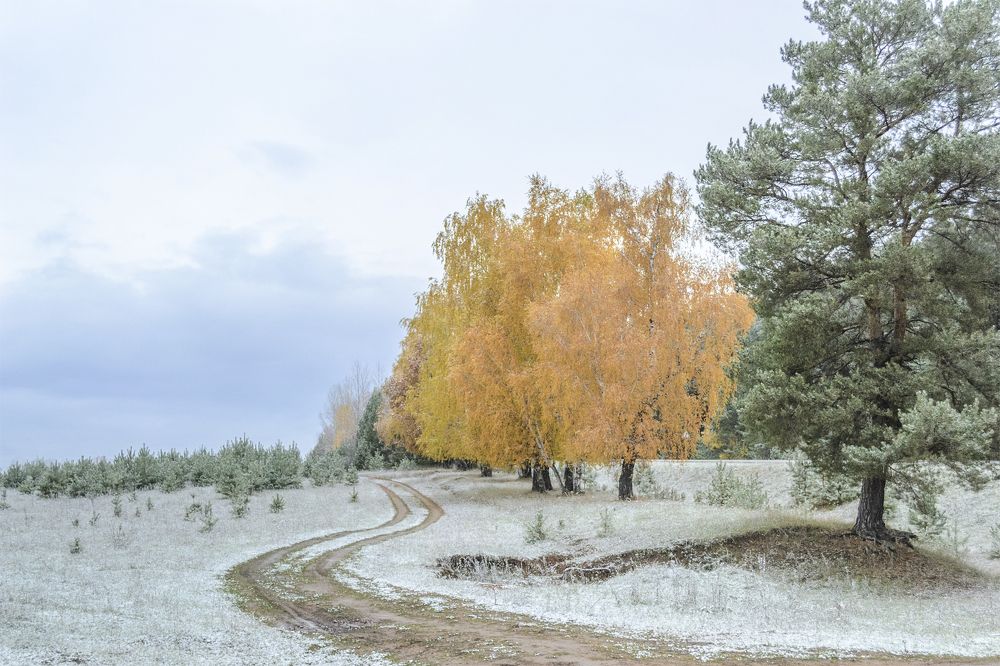 Первый снег