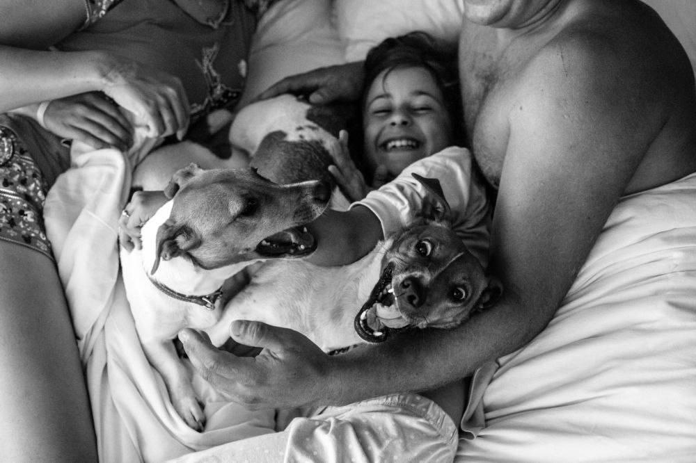 Пробуждение семьи.