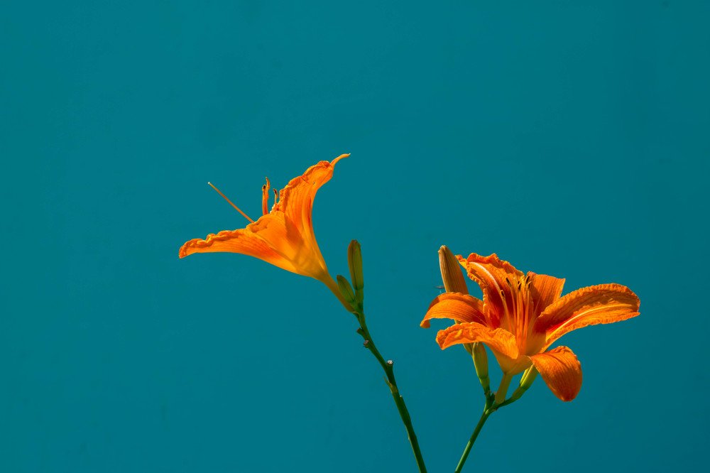 Photograph by Антон Бондарчук