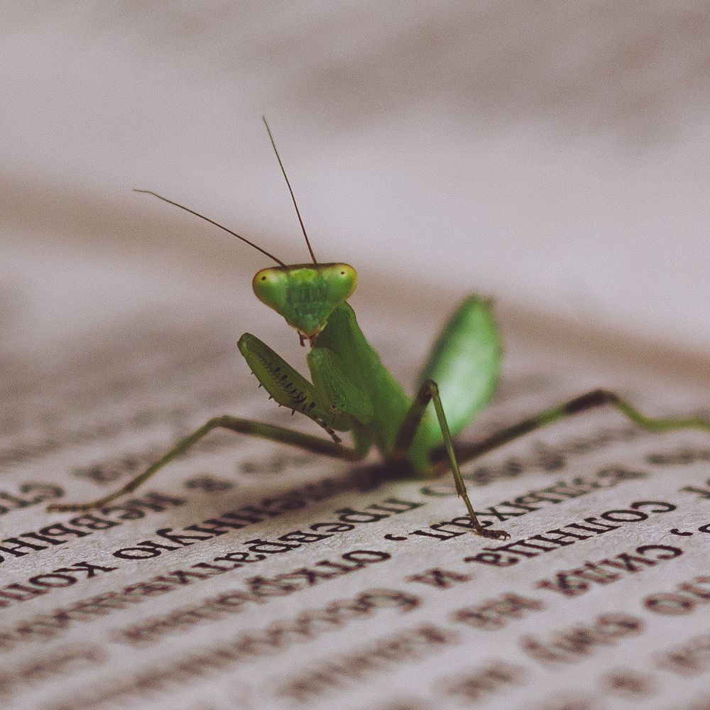 Photograph by Дмитрий