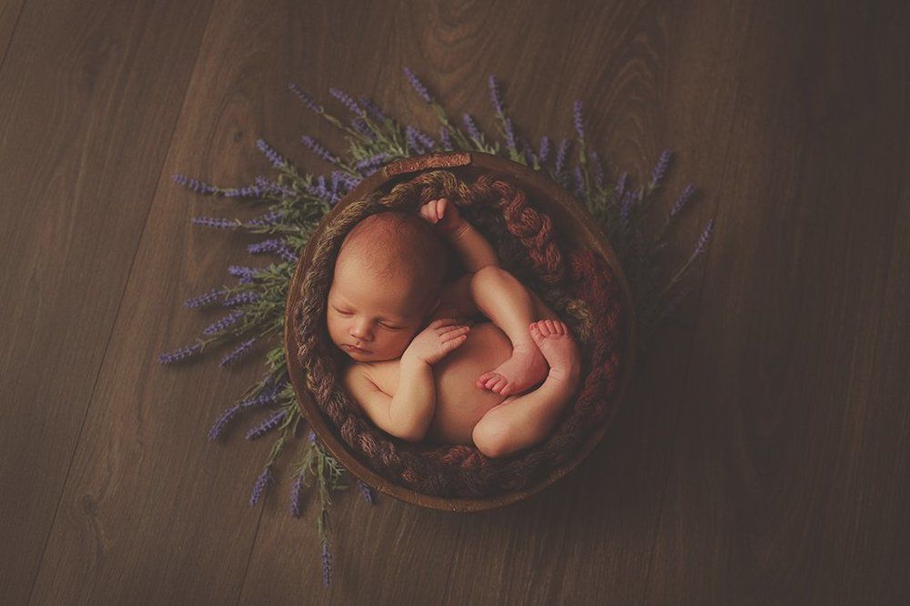 Лавандовые сны