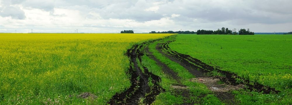 Сельская геометрия