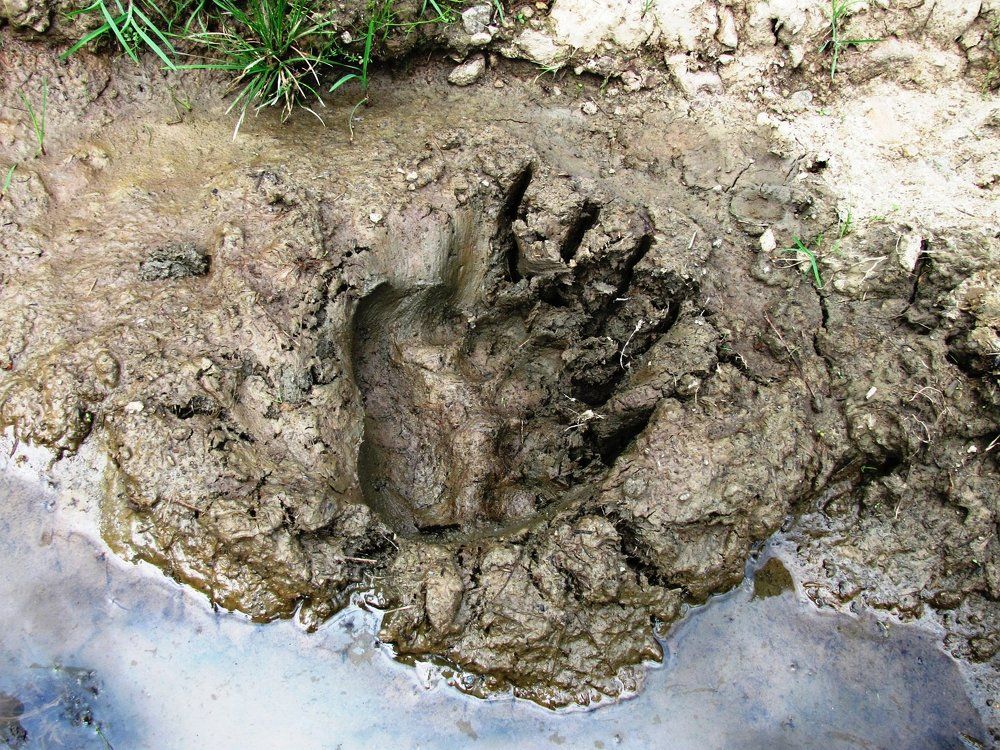 Печать Хозяина