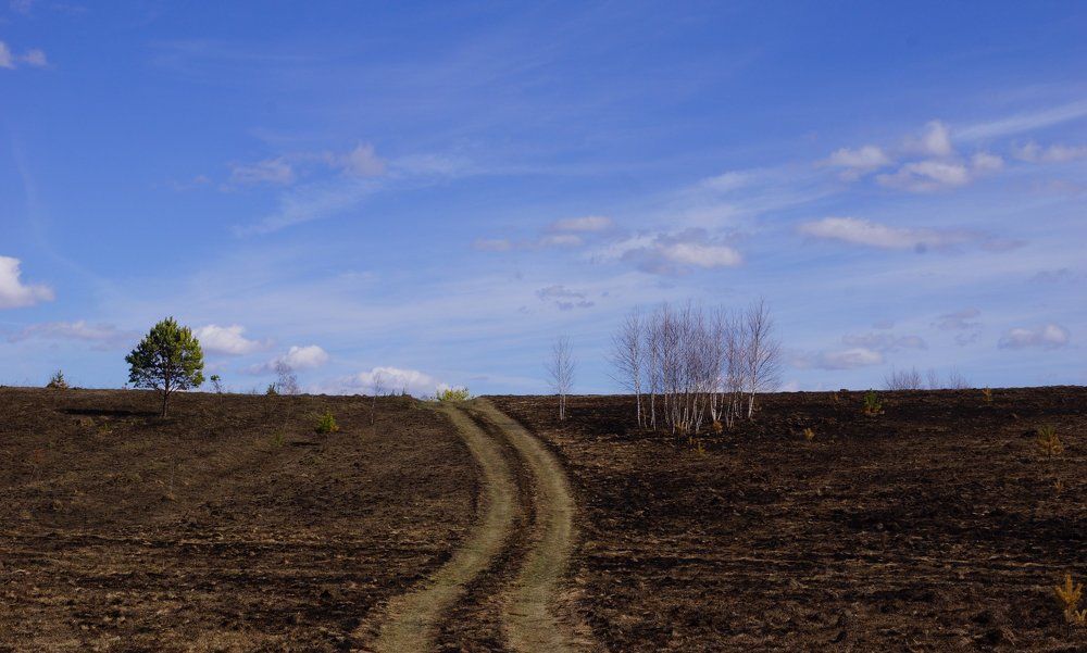 дорога между...