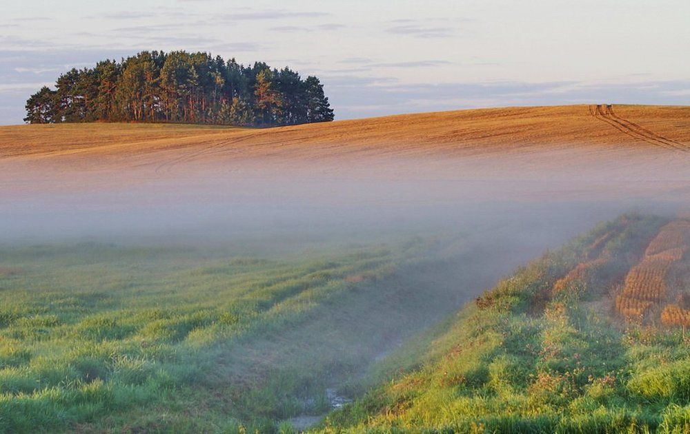 Минское поле.