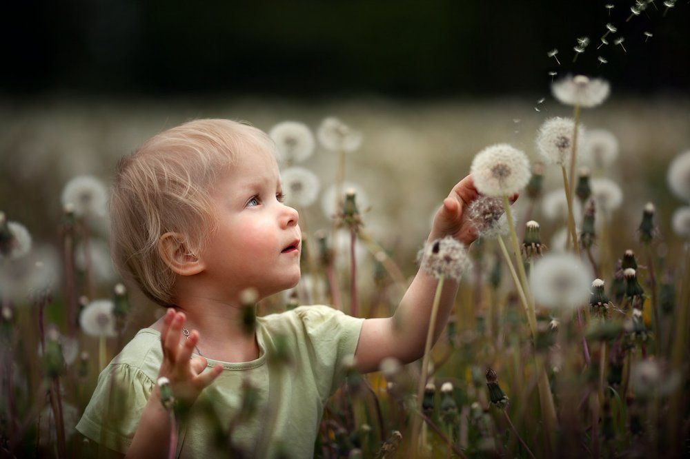 Волшебство всегда рядом