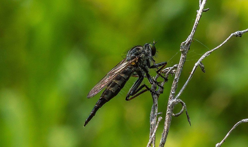 Господи, держусь чтобы не упасть
