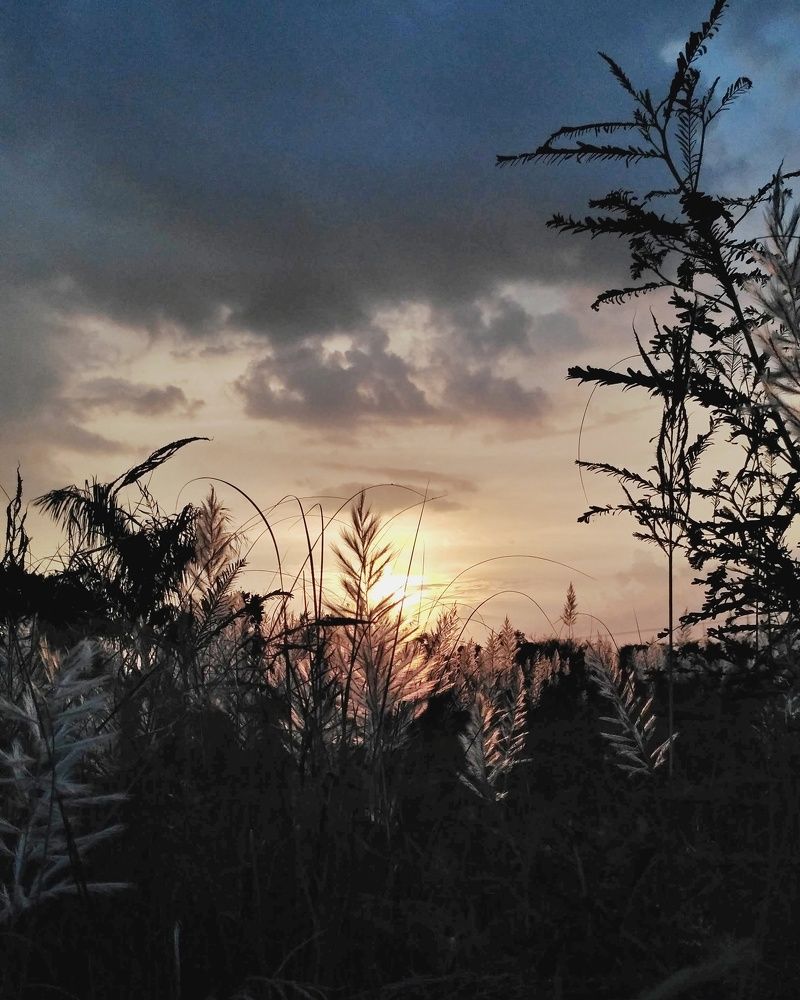 Everything you can imagine is real