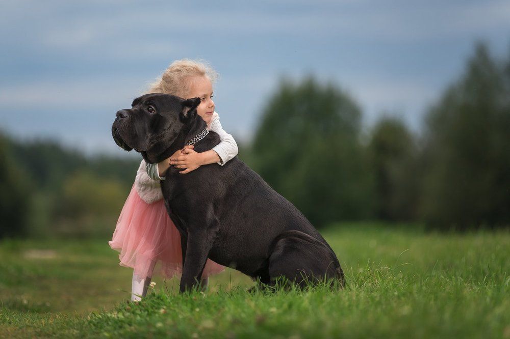 Лучшие друзья