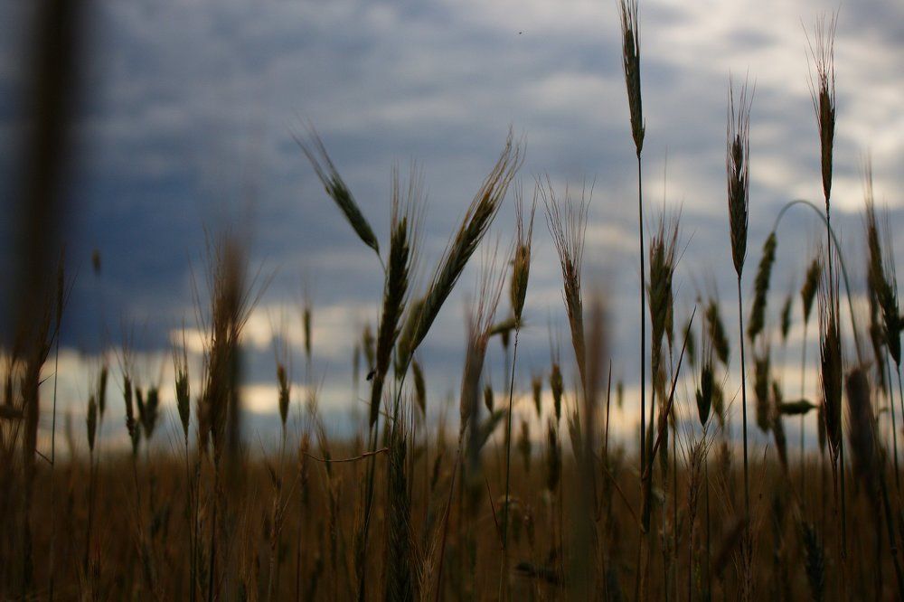 Photograph by Иван Полиненко