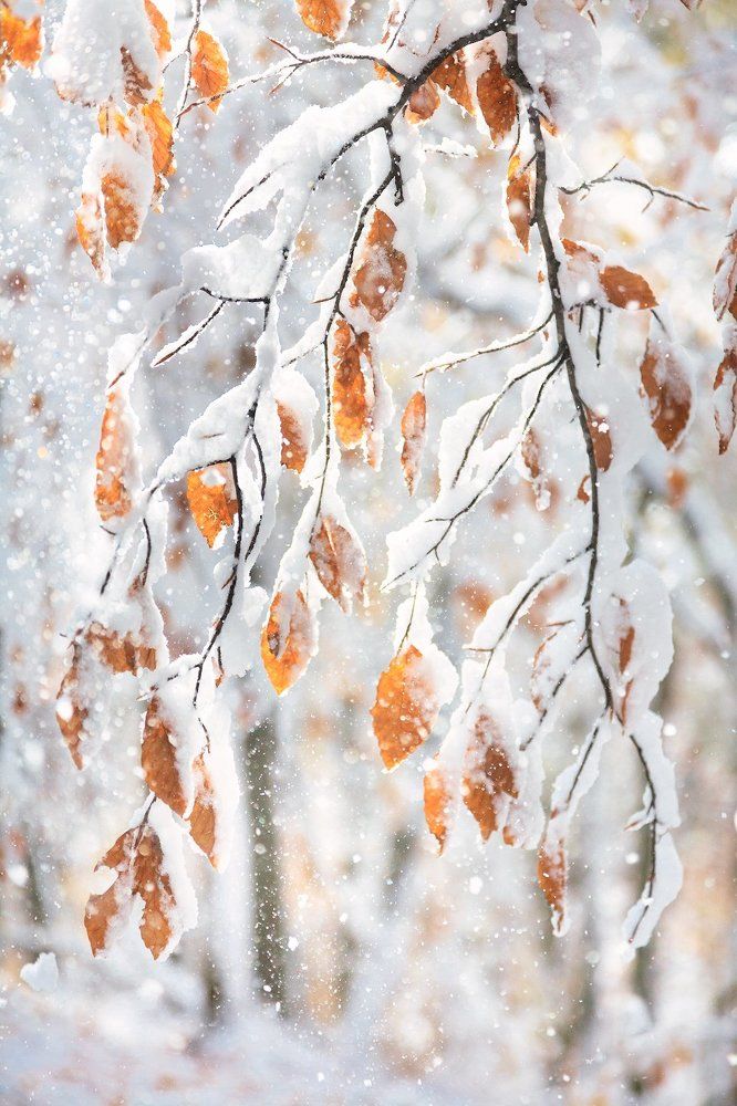 зима в октябре