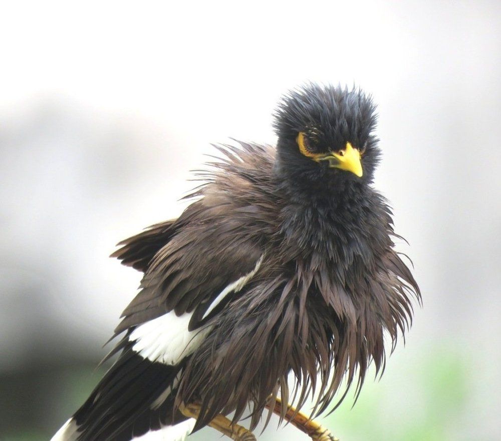 Feeling Angry !