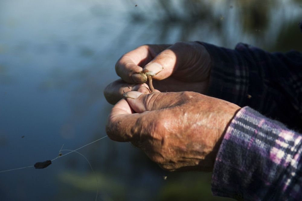 Photograph by Екатерина