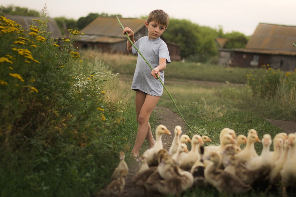 деревенские каникулы