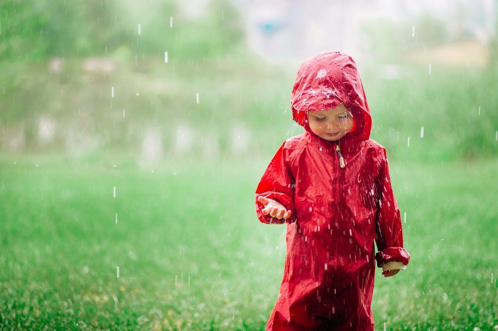 Photograph by Алексей Кондаков