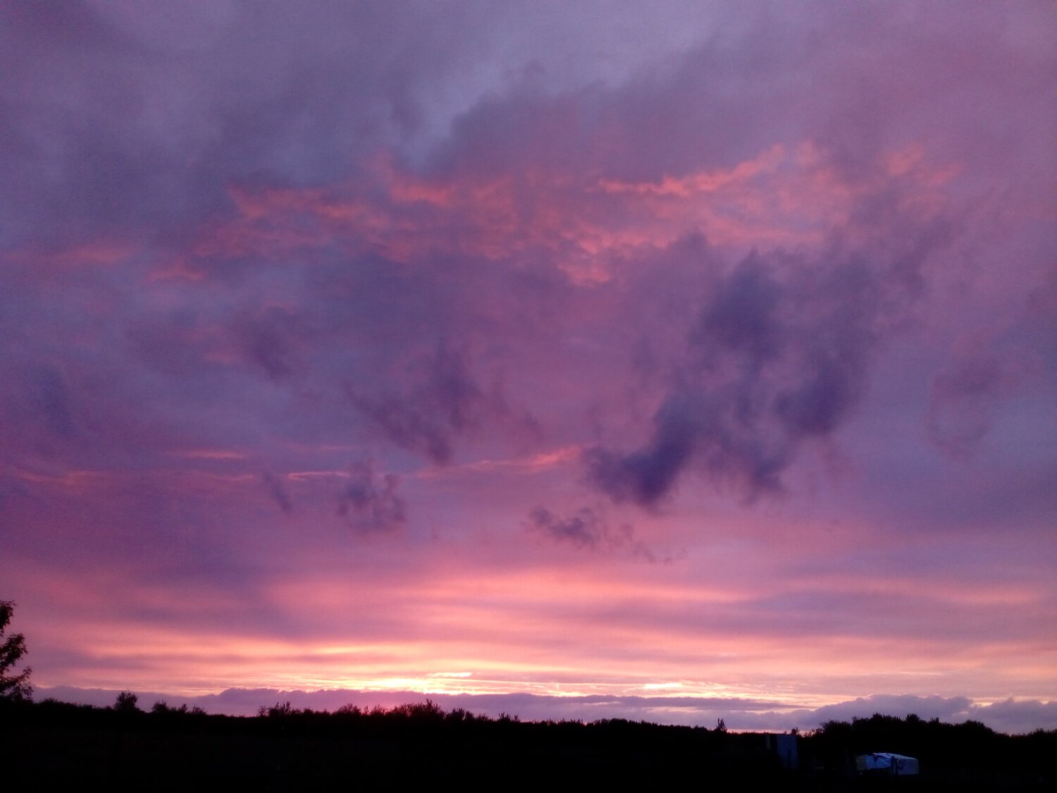 Photo #1938637