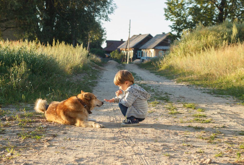 Photograph by Сычева Мария