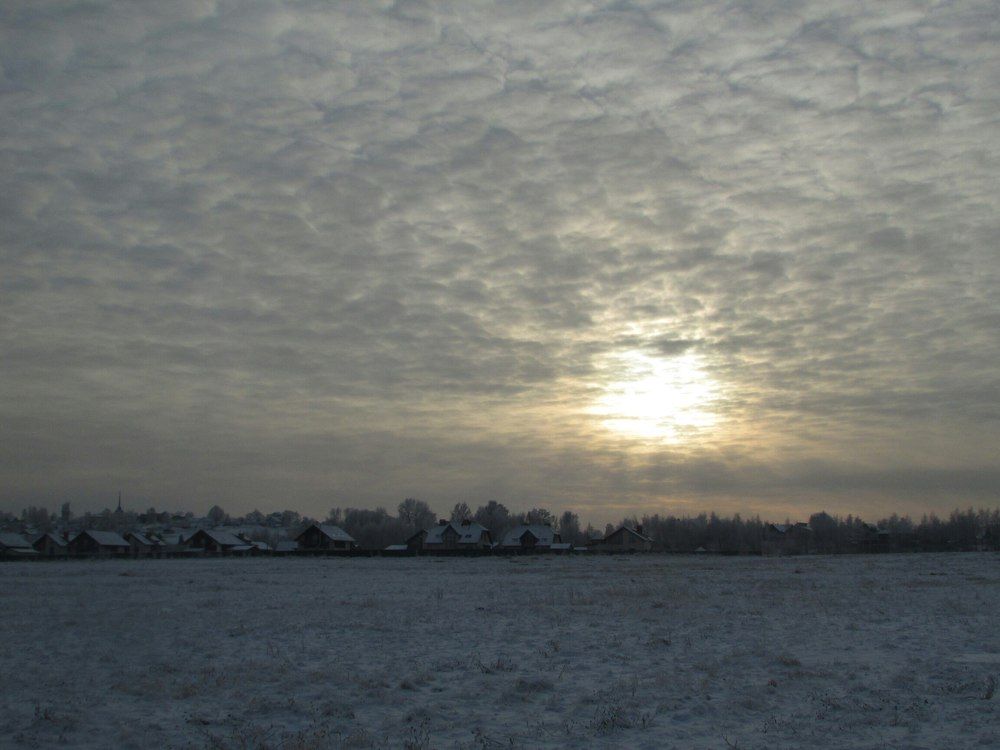 Зимнее поле