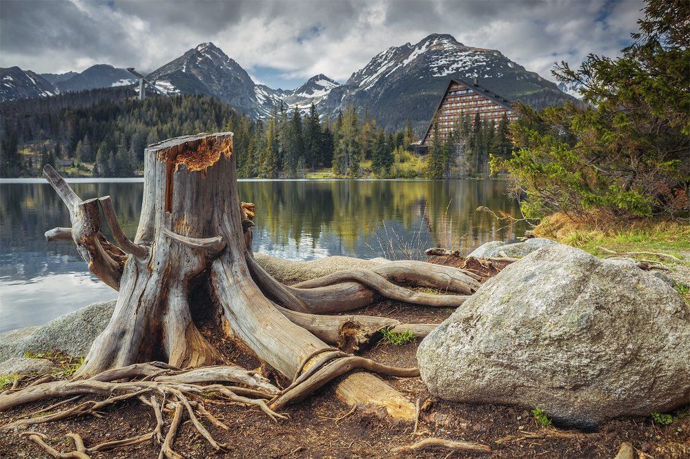 Mountain view with nature accent