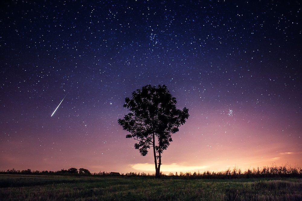 The single Perseid