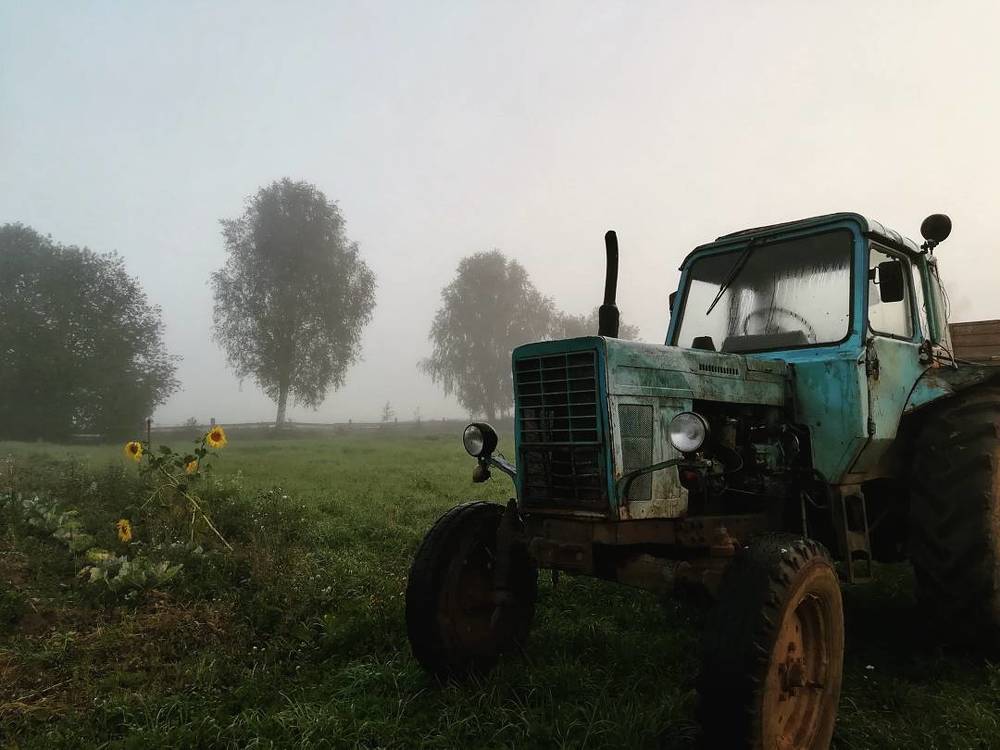 Туман: ни подойти, ни увидеть, ни взять