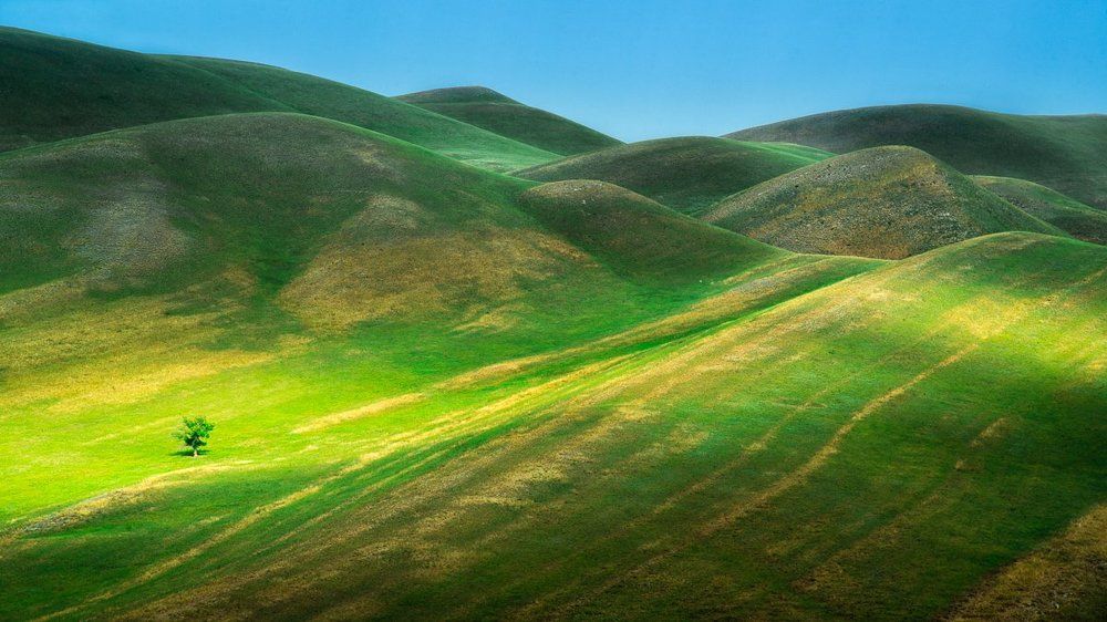 Зелень бархатом струилась