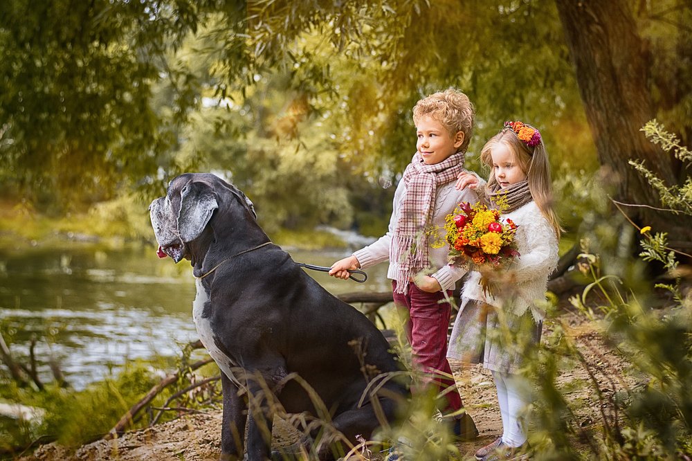 Здравствуй осень