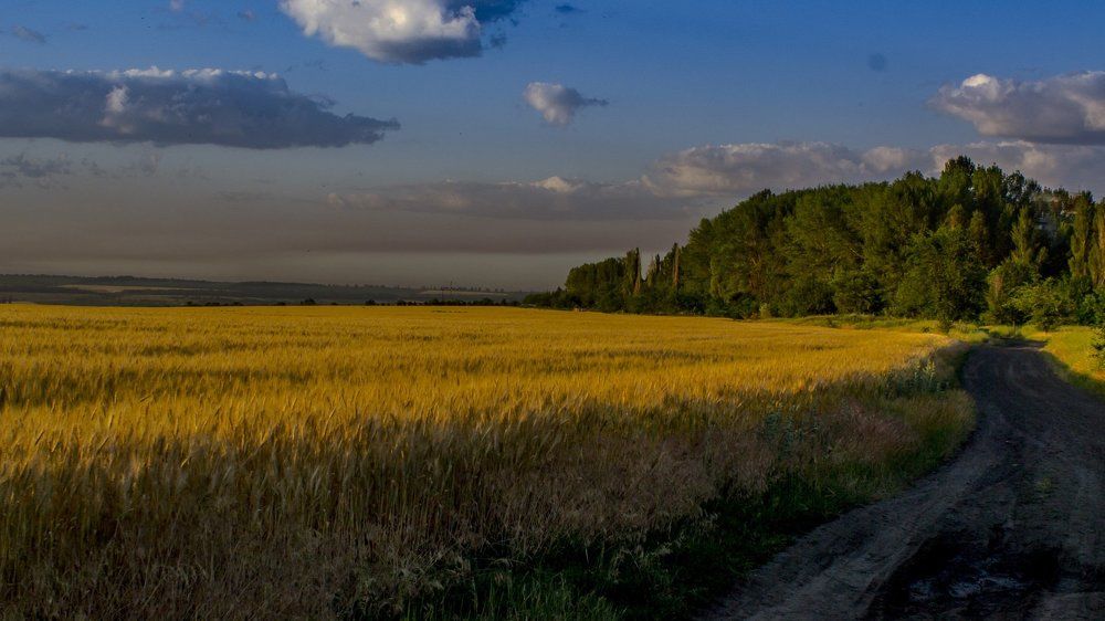 Ролевая дорога