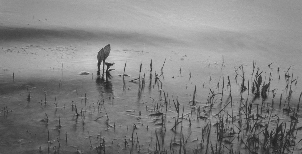 Метафоричность