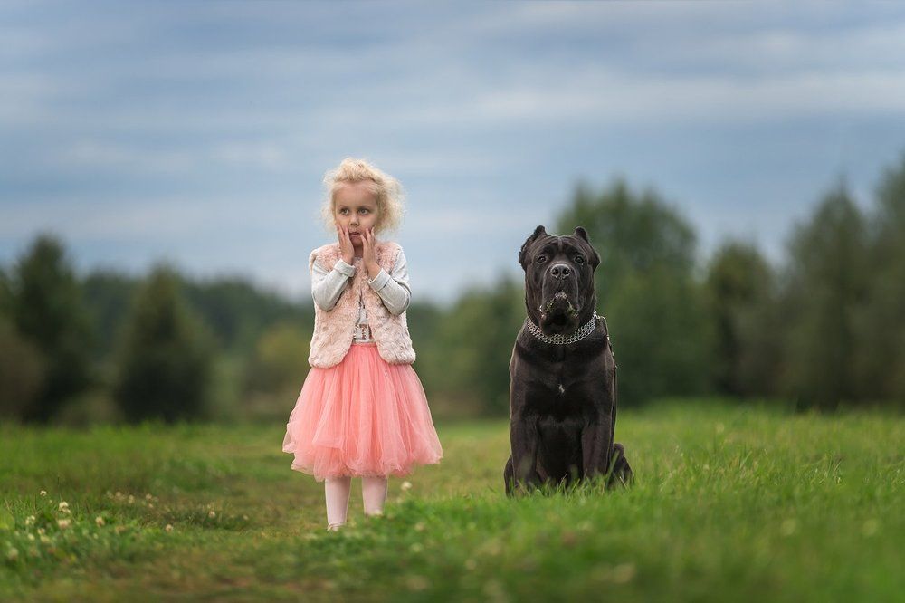 Сладкая парочка