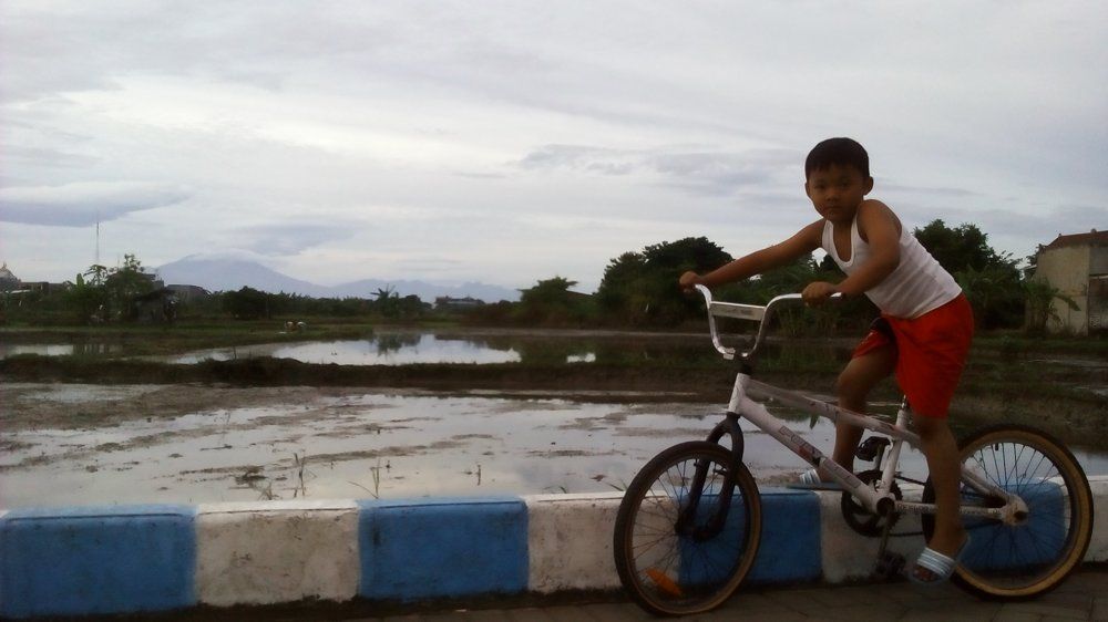 haikal pagi hari di pinggir sawah
