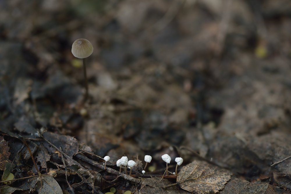 Big Brother is watching you