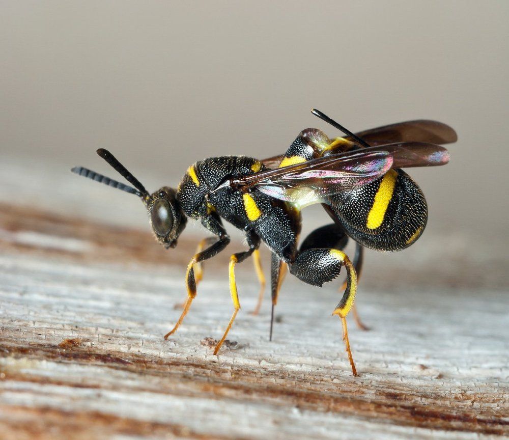 Летающий перфаратор