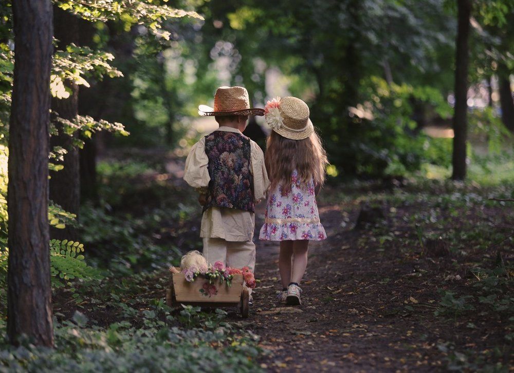 Photograph by Bandurov  Gennadii